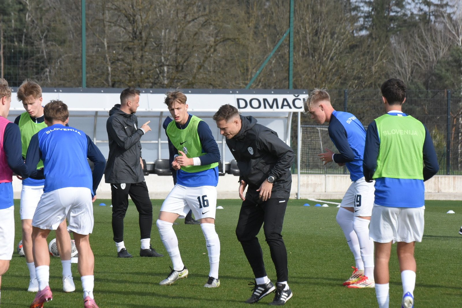Tomaž Zorec coaching